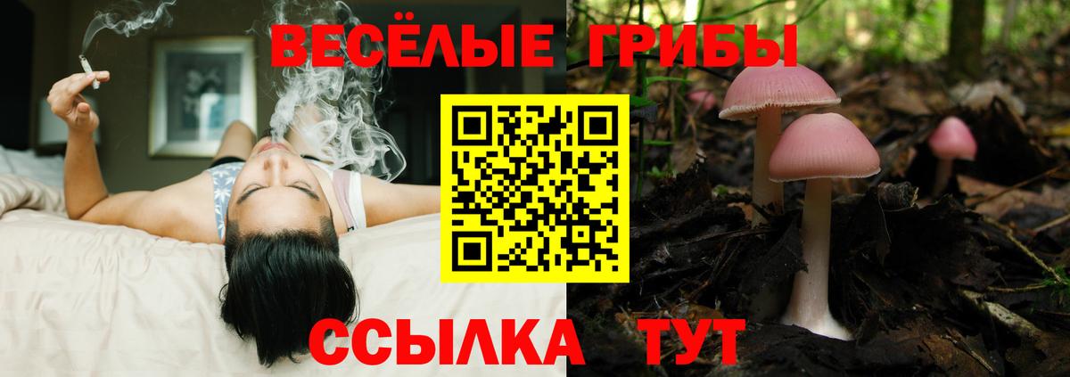 Галлюциногенные грибы мухоморы Чита